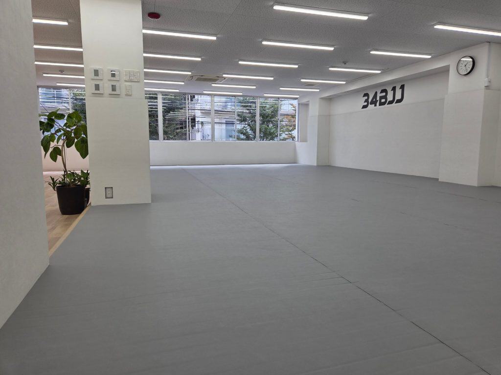 大きな窓のある34BJJのマットスペース